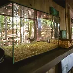 Casa de Férias Swiergot *