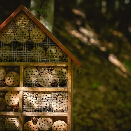 Swiergot בית נופש ברנה