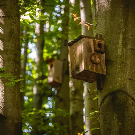 Swiergot בית נופש ברנה