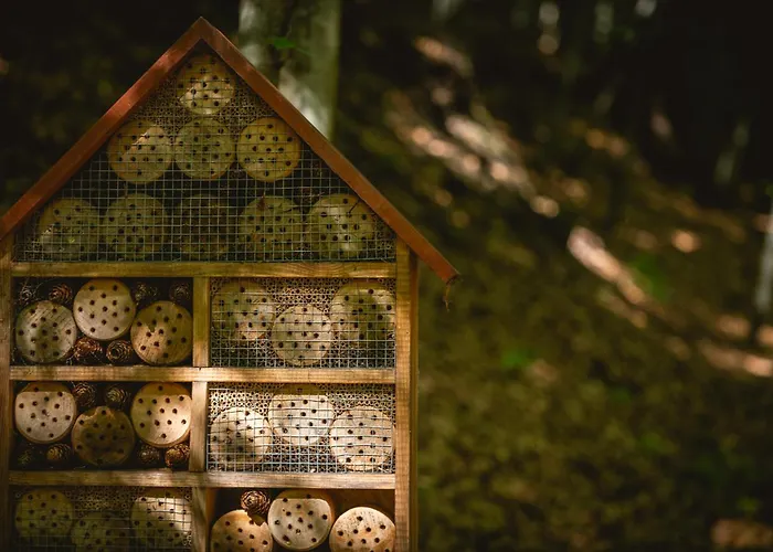 Swiergot בית נופש ברנה