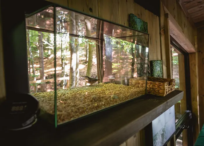 בית נופש Swiergot *