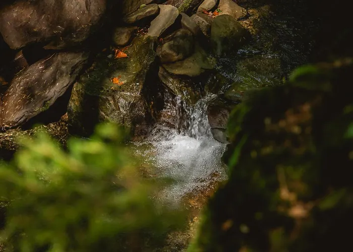 בית נופש Swiergot ברנה