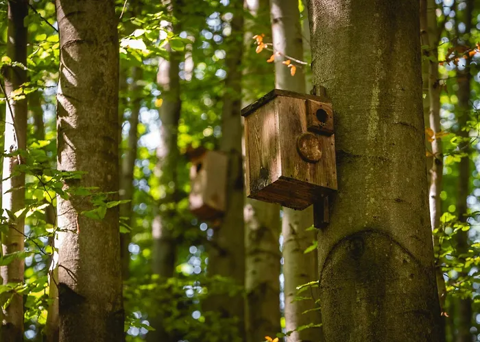 Swiergot בית נופש ברנה